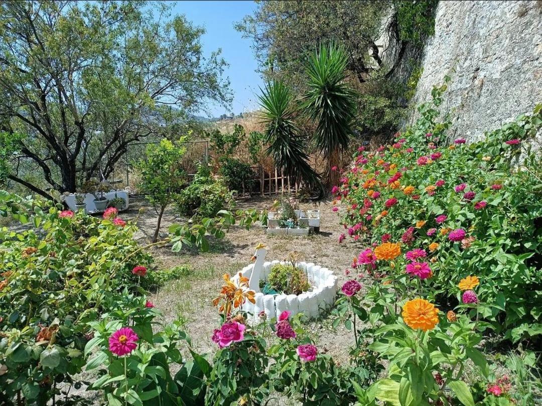 Mavrikou Helen Apartments Skyros Exteriér fotografie