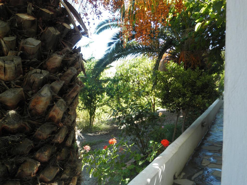 Mavrikou Helen Apartments Skyros Pokoj fotografie